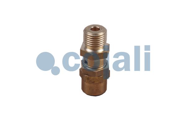 Cojali Multicircuit beschermingsklep 2380155