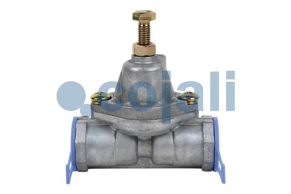 Cojali Overstroomklep 2406008