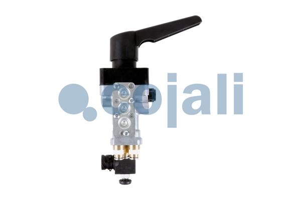 Cojali Niveauregeling/regulator 2415104