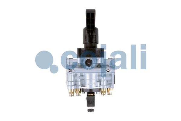 Cojali Niveauregeling/regulator 2415104