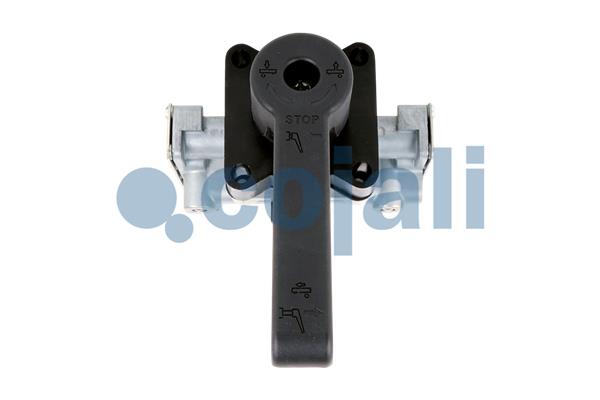 Cojali Niveauregeling/regulator 2415104