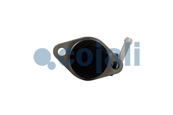 Cojali Hoofdkoppelingscilinder 2556019