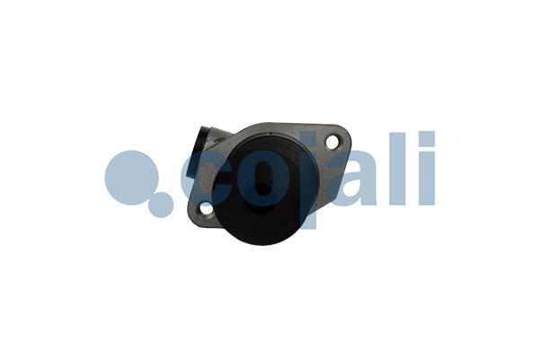 Cojali Hoofdkoppelingscilinder 2556029