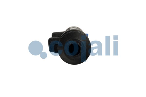 Cojali Hoofdkoppelingscilinder 2556033