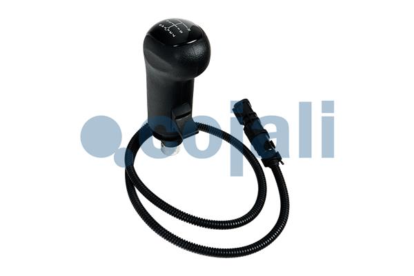 Pookknoppen  Cojali 2816020