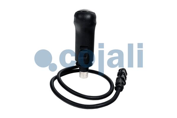 Cojali Pookknoppen  2816020