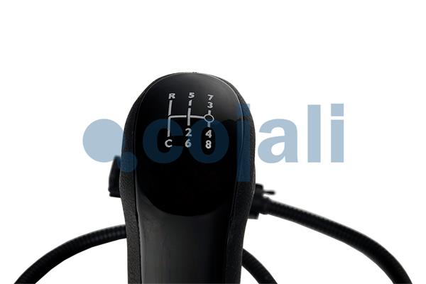 Cojali Pookknoppen  2816020