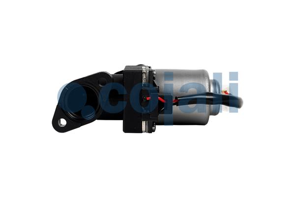 Cojali Magneetklep 2818008