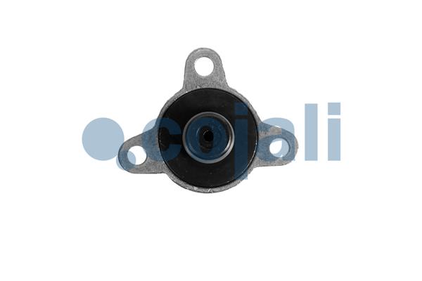Cojali Brandstofdruk sensor 2840007