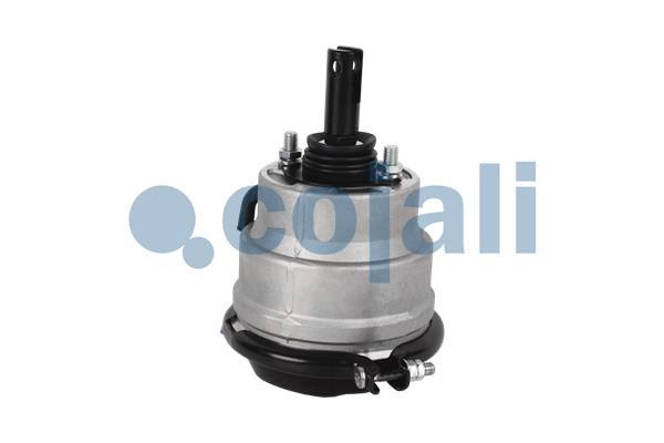 Cojali Remcilindermembraan 2851400