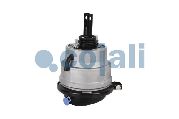 Cojali Remcilindermembraan 2851407