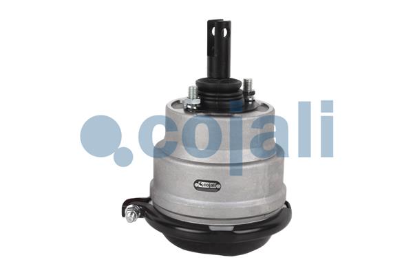 Cojali Remcilindermembraan 2851407