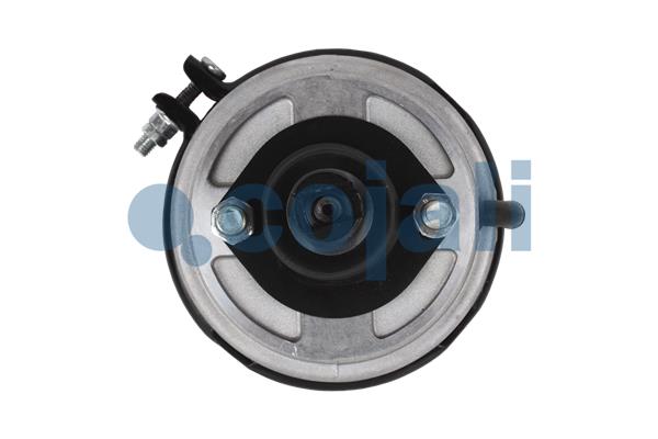 Cojali Remcilindermembraan 2851407