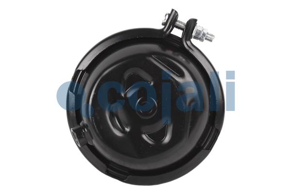 Cojali Remcilindermembraan 2851407