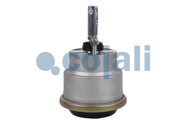 Cojali Remcilindermembraan 2851408