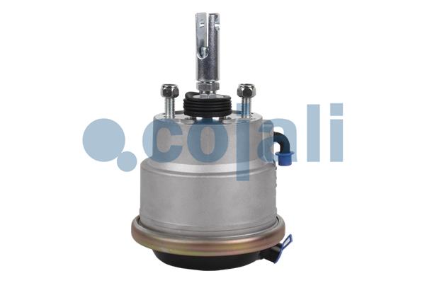 Cojali Remcilindermembraan 2851408