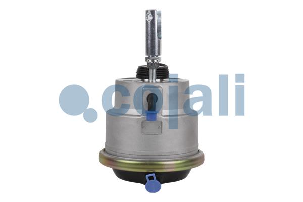 Cojali Remcilindermembraan 2851408