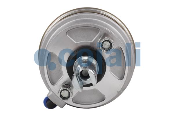 Cojali Remcilindermembraan 2851408