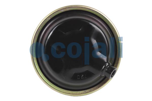 Cojali Remcilindermembraan 2851408