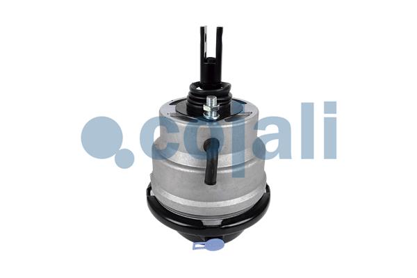 Remcilindermembraan Cojali 2851409