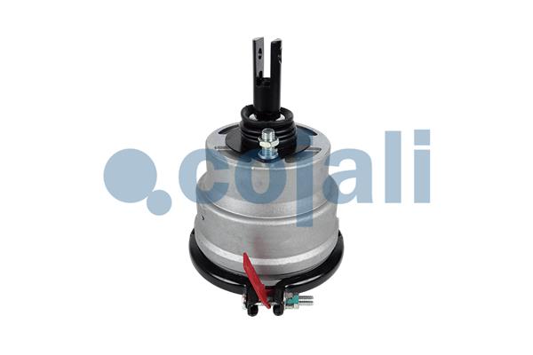 Cojali Remcilindermembraan 2851409