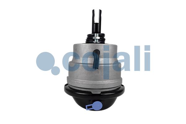 Cojali Remcilindermembraan 2851409