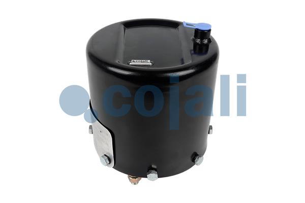 Cojali Remcilindermembraan 2851411