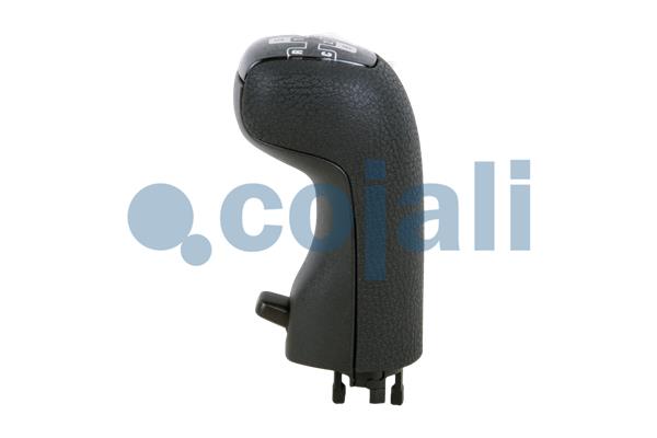 Pookknoppen  Cojali 2880132