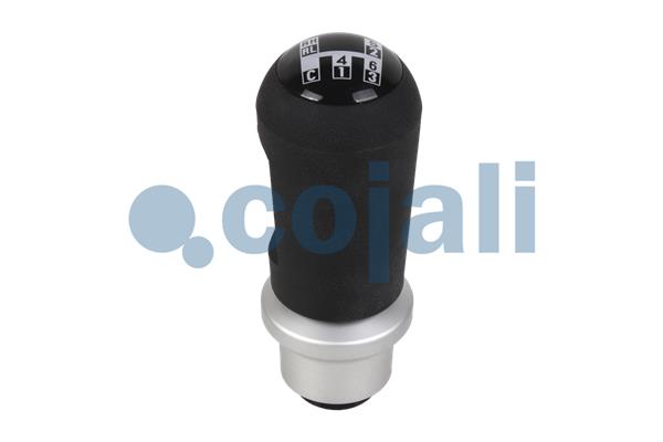 Pookknoppen  Cojali 2880134