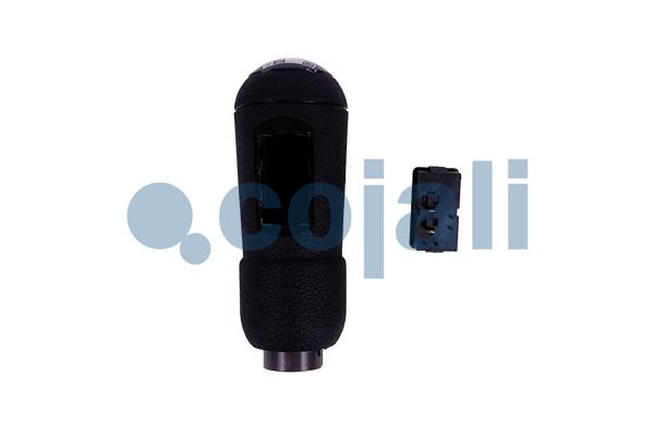 Pookknoppen  Cojali 2880135