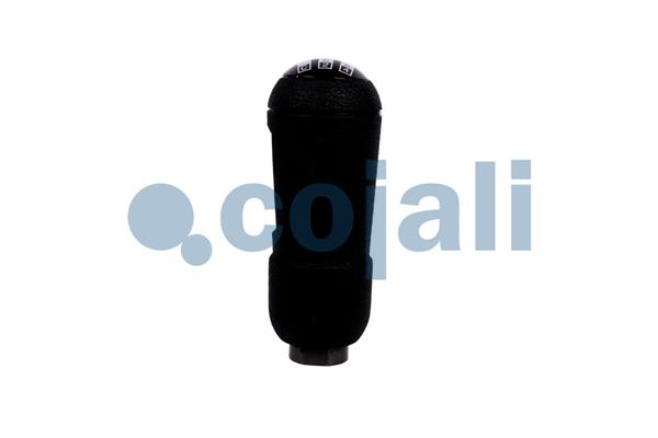 Cojali Pookknoppen  2880135