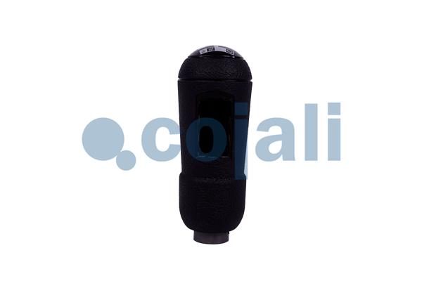 Cojali Pookknoppen  2880135
