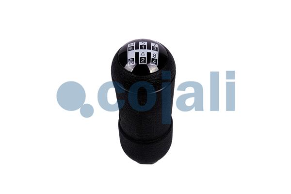 Cojali Pookknoppen  2880135