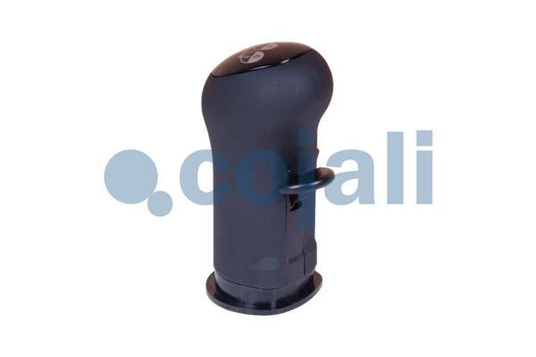 Cojali Pookknoppen  2880136