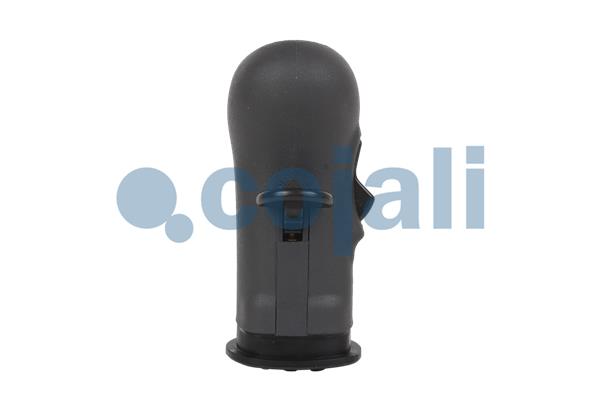 Pookknoppen  Cojali 2880140