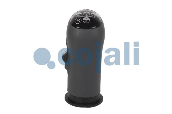 Cojali Pookknoppen  2880140