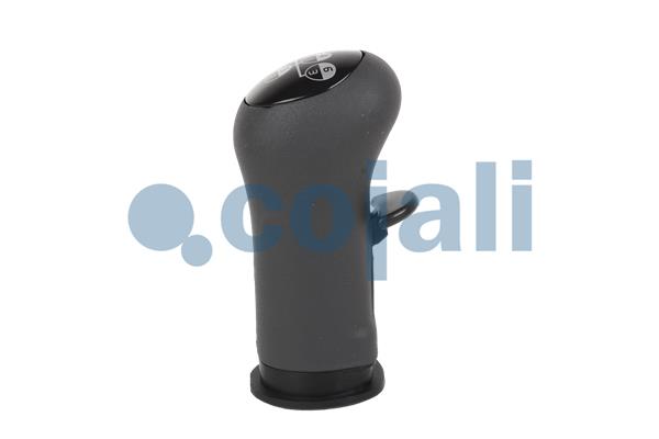 Cojali Pookknoppen  2880140
