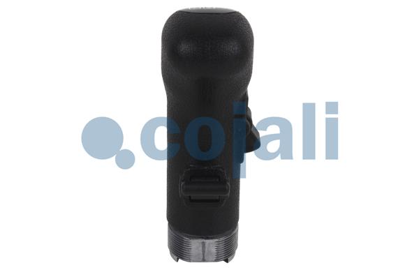 Pookknoppen  Cojali 2880141