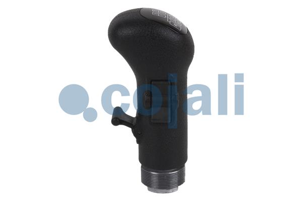Cojali Pookknoppen  2880141