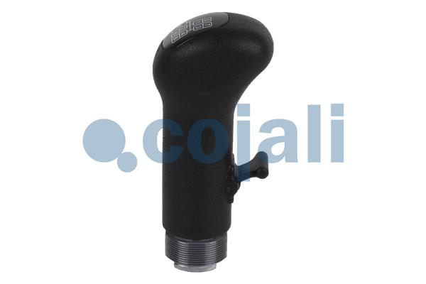 Cojali Pookknoppen  2880141