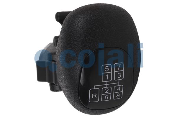 Cojali Pookknoppen  2880141