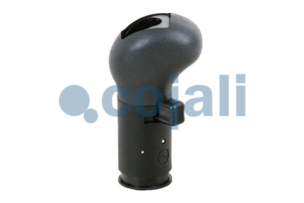 Pookknoppen  Cojali 2880145