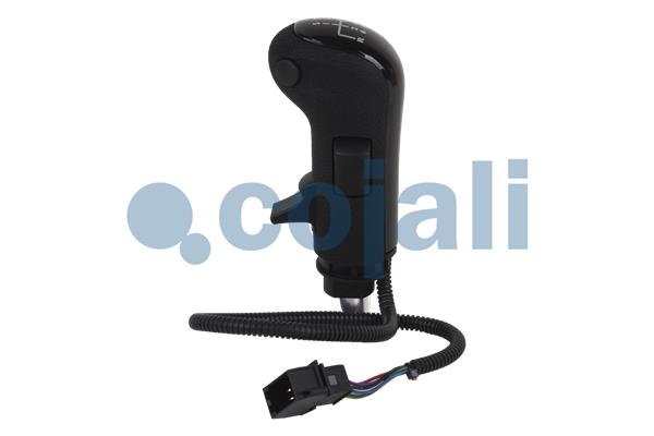 Cojali Pookknoppen  2880147