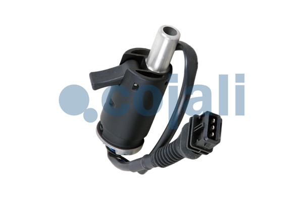 Pookknoppen  Cojali 2880148