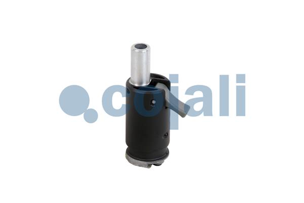 Pookknoppen  Cojali 2880150