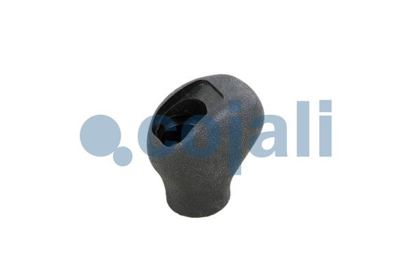 Pookknoppen  Cojali 2880151