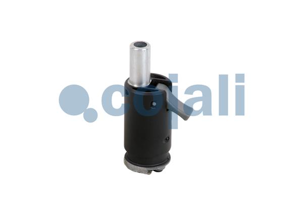 Pookknoppen  Cojali 2880152