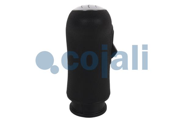 Pookknoppen  Cojali 2880155