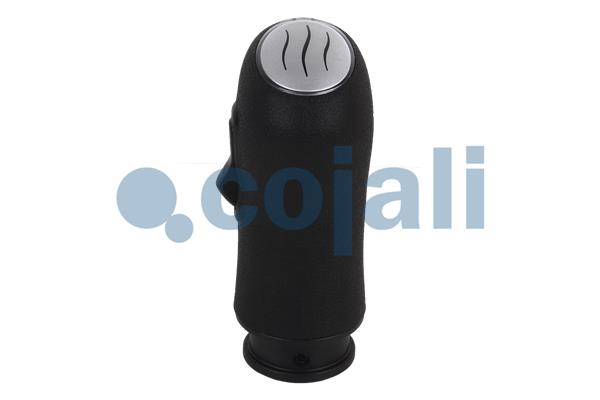 Cojali Pookknoppen  2880155