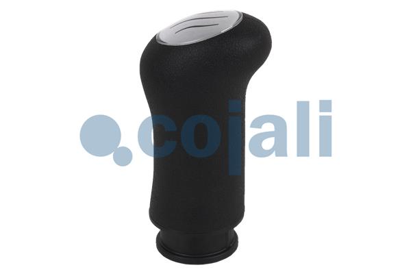 Cojali Pookknoppen  2880155